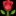🌹