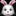🐰
